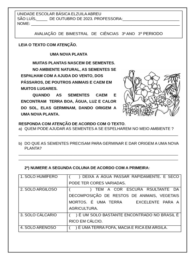 Avaliação de Ciencias 3 Ano | PDF | Solo | Terra