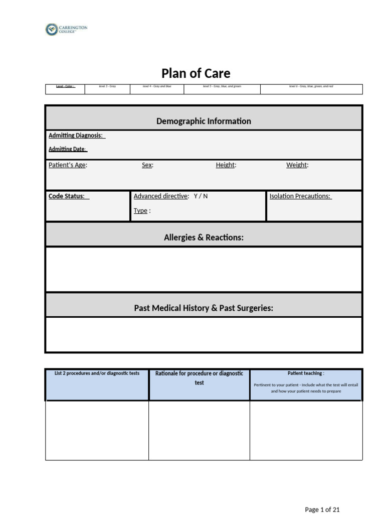 Comprehensive Patient Care Plan | PDF | Clinical Medicine | Medical ...