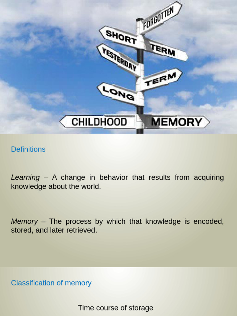 Understanding Memory: Types and Processes | PDF | Memory | Long Term ...