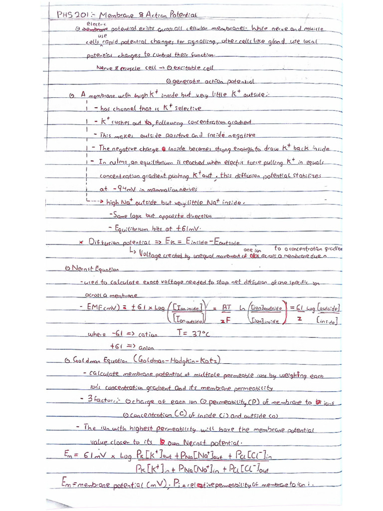 Membrane and Action Potential | PDF