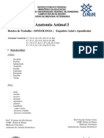 Roteiro OSTEOLOGIA