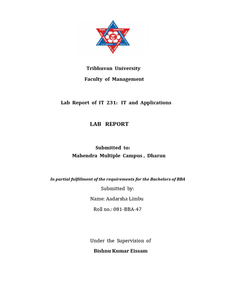 IT 231 Lab Report: MS Office Applications | PDF | Microsoft Excel ...