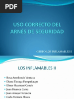Download USO CORRECTO DEL ARNS DE SEGURIDAD by Carla Ventura SN95010362 doc pdf