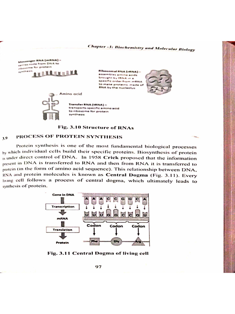 Biology CH 3 | PDF