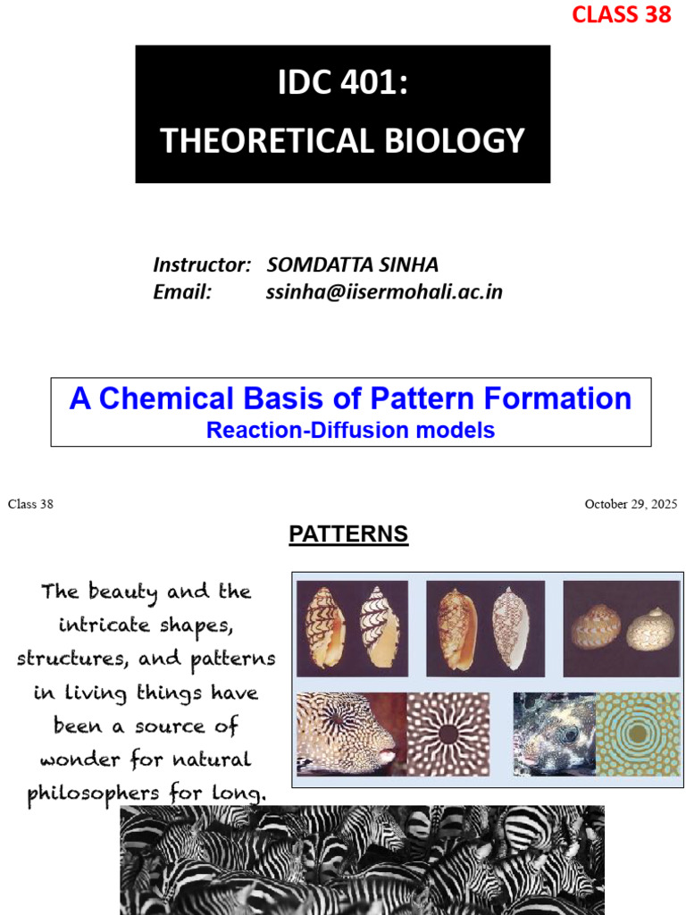 Pattern Turing2025 | PDF | Alan Turing | Morphogenesis