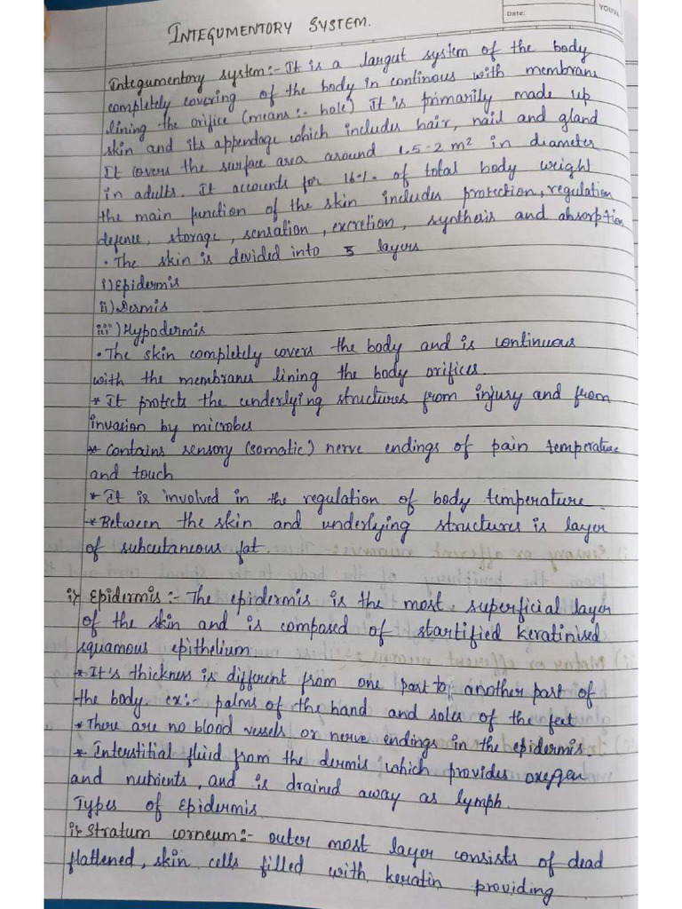 Unit 3 HAP FULL | PDF