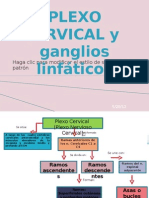 Plexo Cervical y Ganglios Linfáticos1