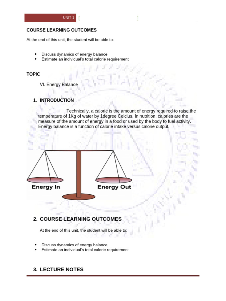 Understanding Energy Balance and BMR | PDF | Food Energy | Calorie