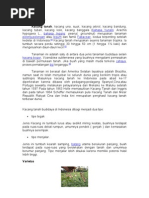 Download laporan kacang tanah by Arga Wicaksono SN95016730 doc pdf
