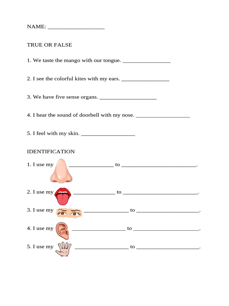 Understanding Human Senses Quiz | PDF