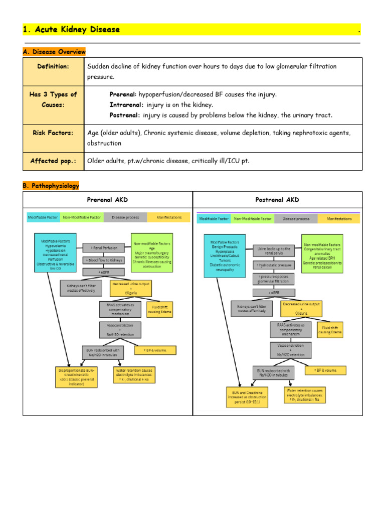 Acute and Chronic Kidney Disease Overview | PDF | Urinary Tract ...