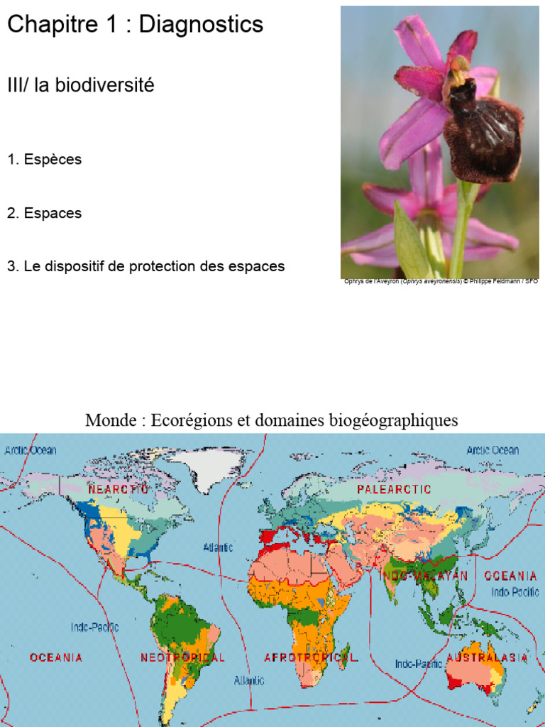 Biodiversité et protection des espèces en France | PDF | Zone protégée ...
