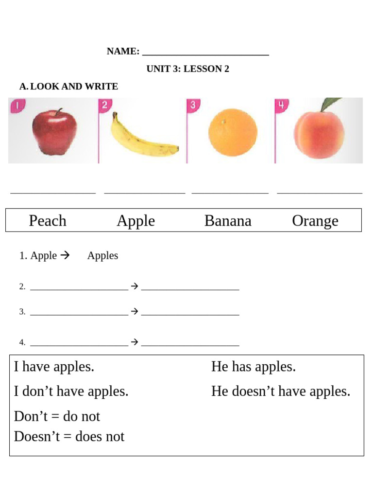 Grammar Practice: Have vs. Has | PDF