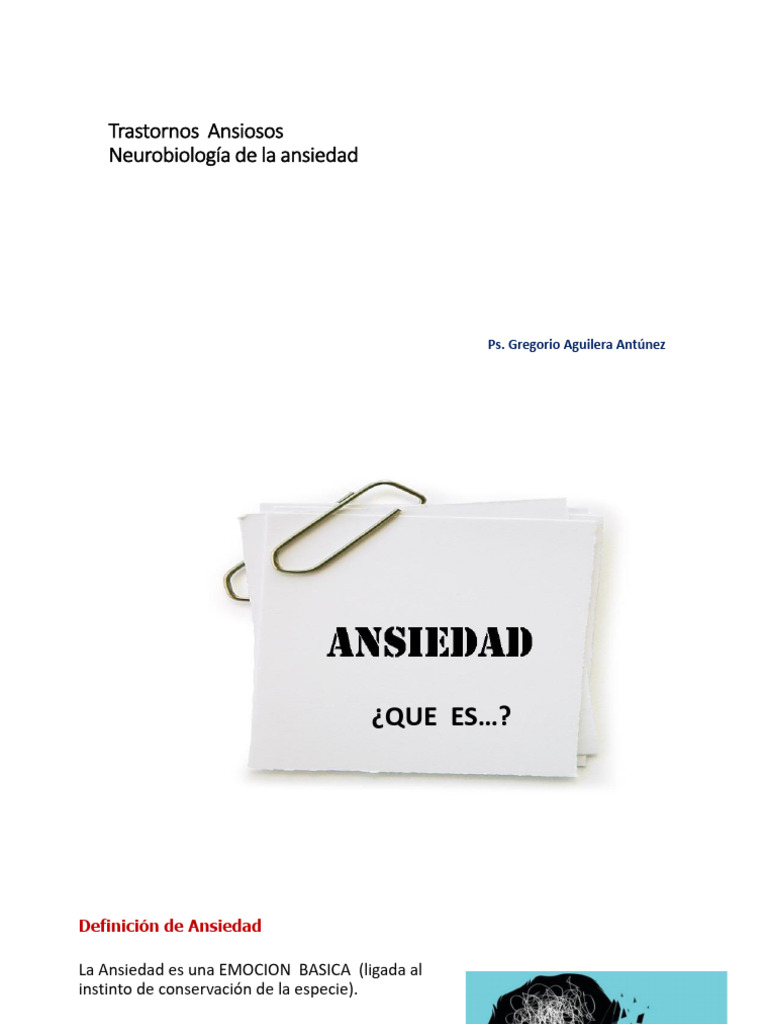 Neurobiología y Trastornos de Ansiedad | PDF | Amígdala | Las emociones