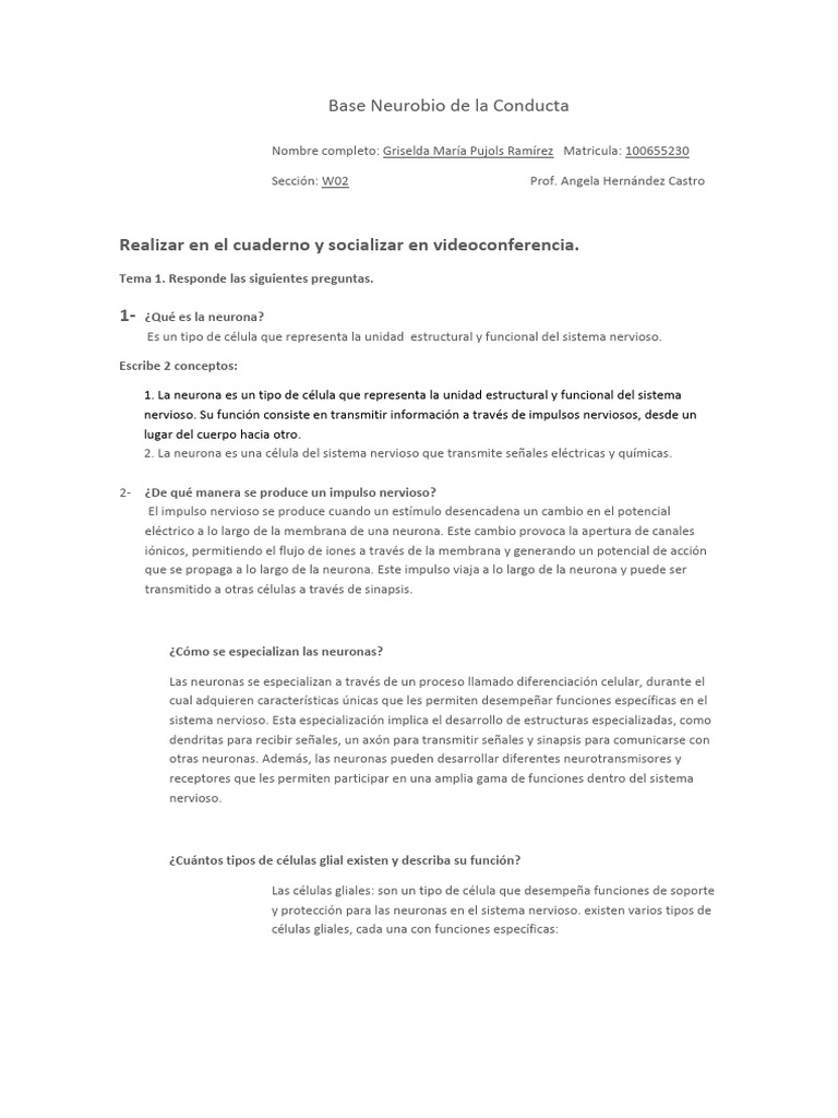 Base Neurobio de La Conducta | PDF | Sinapsis | Neurona