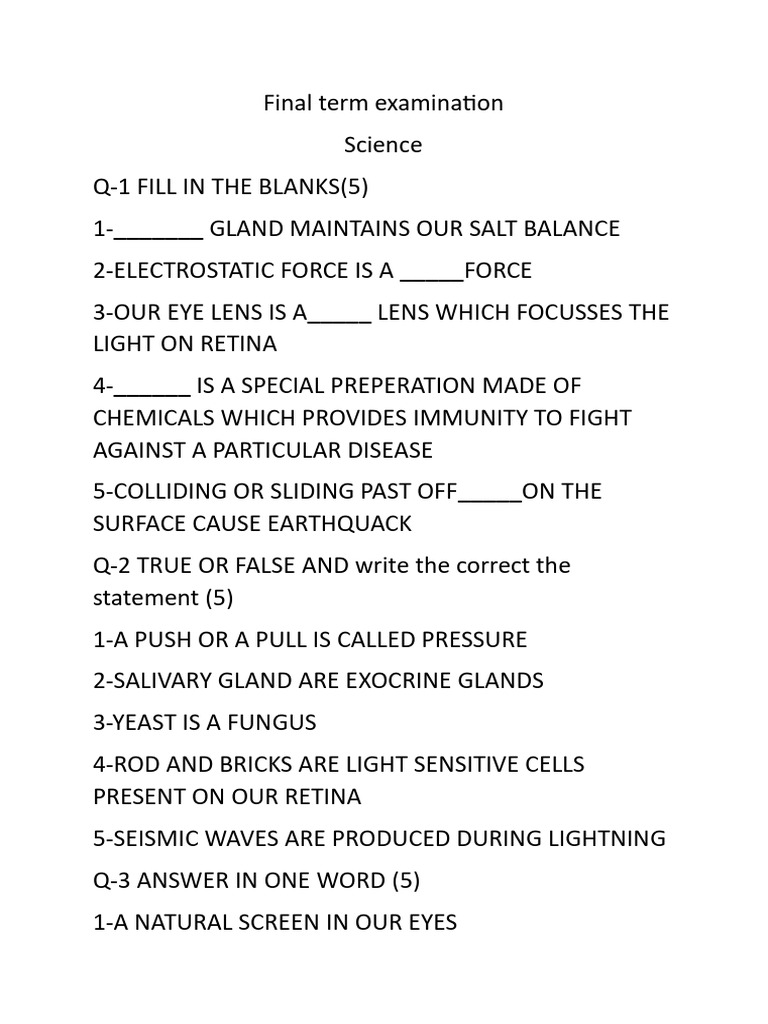 Final Term Examination | PDF