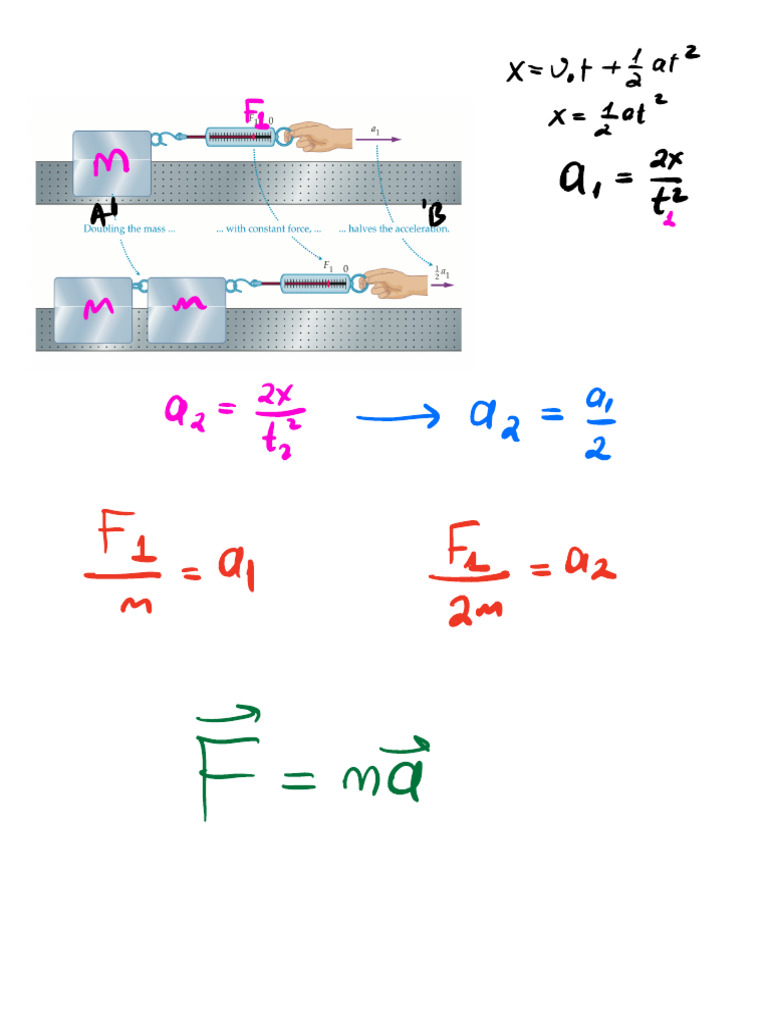 Newton's Laws: Conceptual Exercises | PDF | Force | Mass