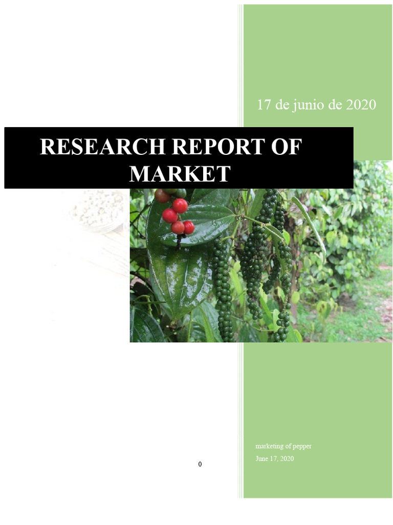 Market Research Report | PDF | Black Pepper | Entrepreneurship