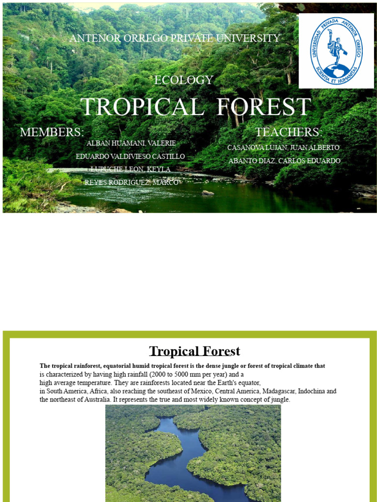 Tropical Rainforest Ecology Overview | PDF | Rainforest | Tropics