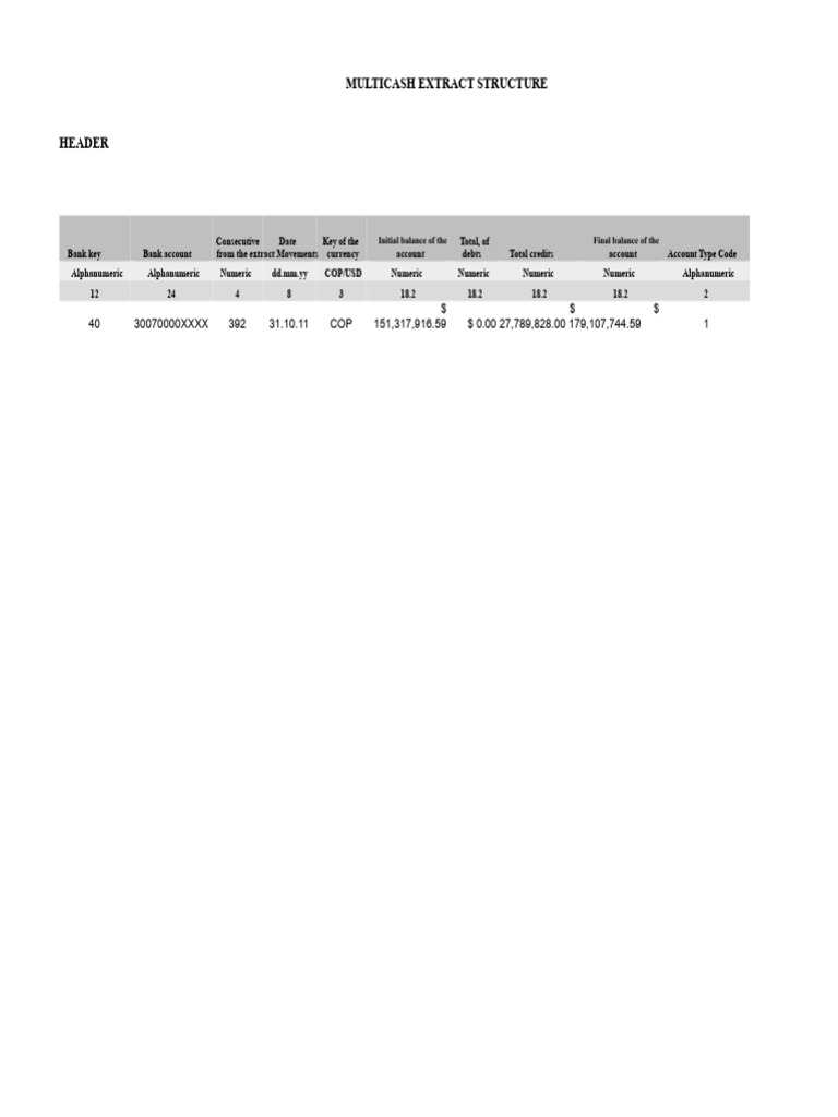MultiCash Extract Structure Guide | PDF | Banks | Business