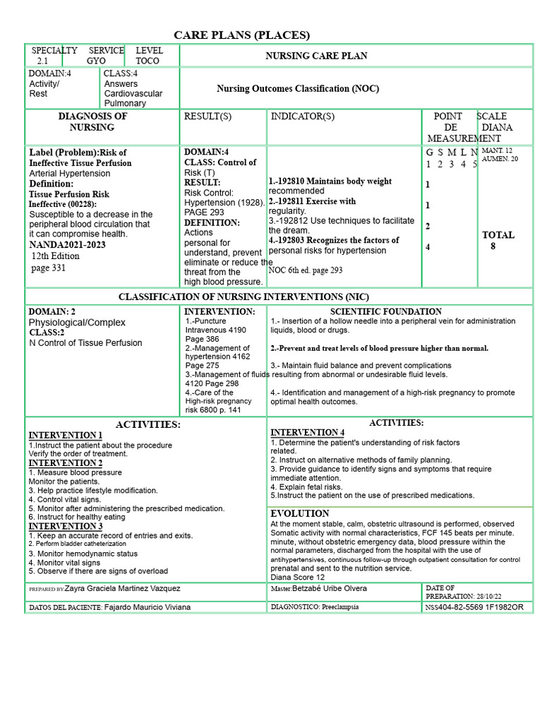 Nursing Care Plan for Preeclampsia | PDF | Hypertension | Blood Pressure