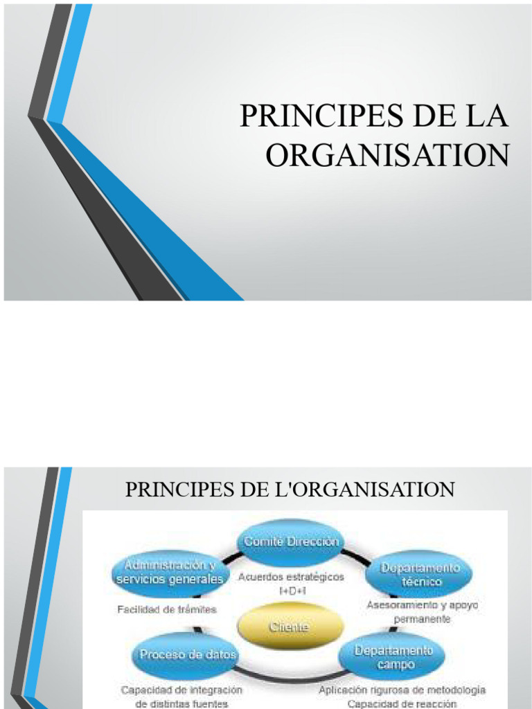 Principes et Processus d'Organisation | PDF | Gestion des ressources ...
