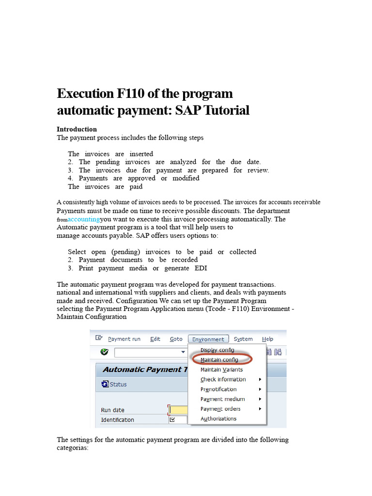 SAP Automatic Payment Program Guide | PDF | Invoice | Accounts Payable