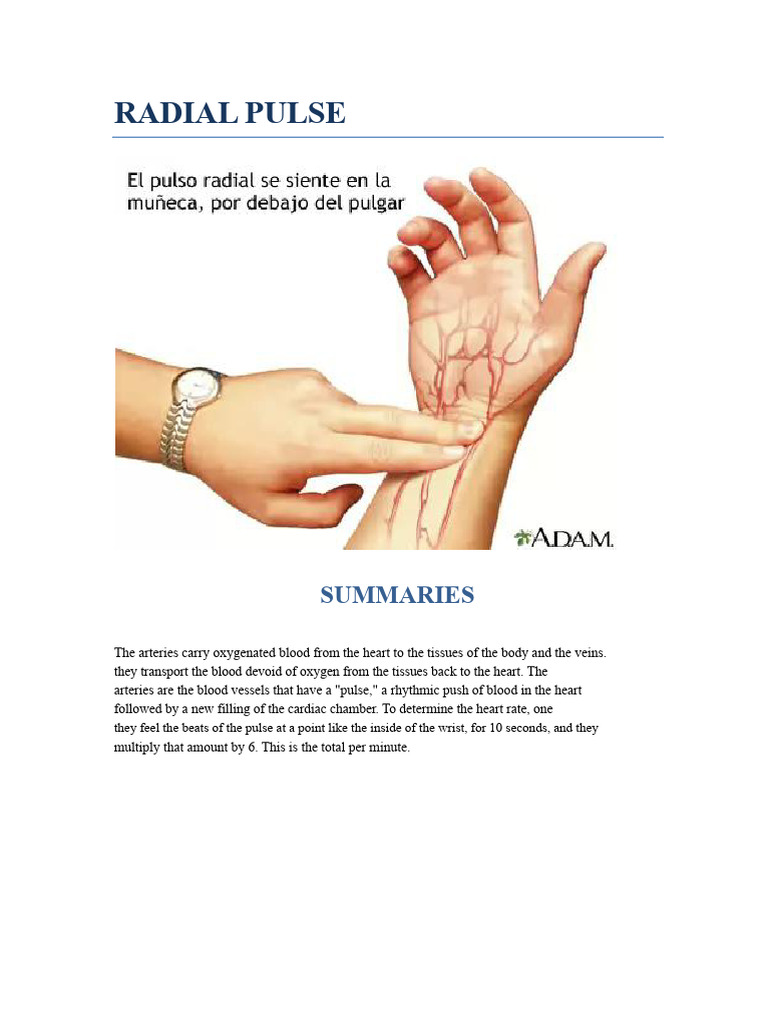 Radial Pulse | PDF