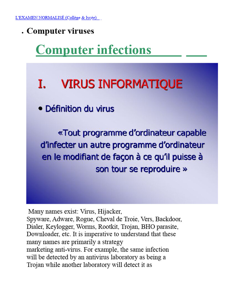 Understanding Computer Malware Types | PDF | Computer Virus | Malware
