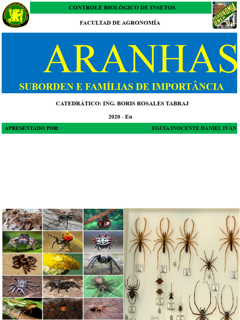 Controle Biológico: Aranhas e Famílias | PDF | Aranha | Zoologia