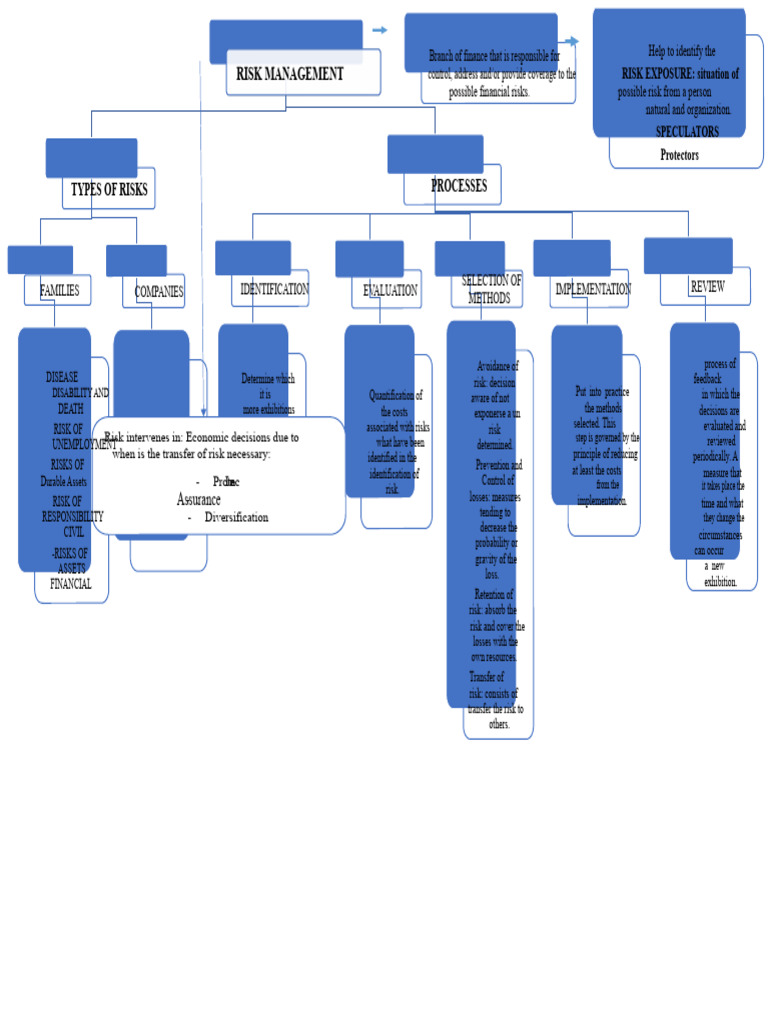 Conceptual Map | PDF | Risk | Risk Management