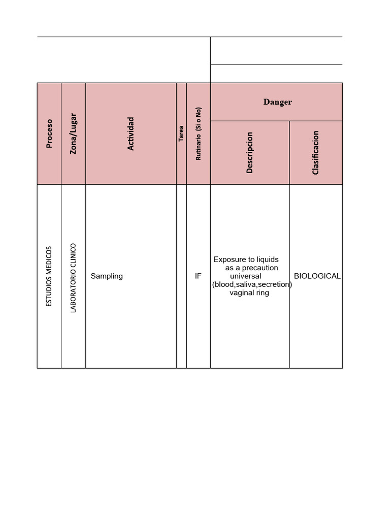 Risk Assessment and Safety Measures | PDF | Hazards | Laboratories
