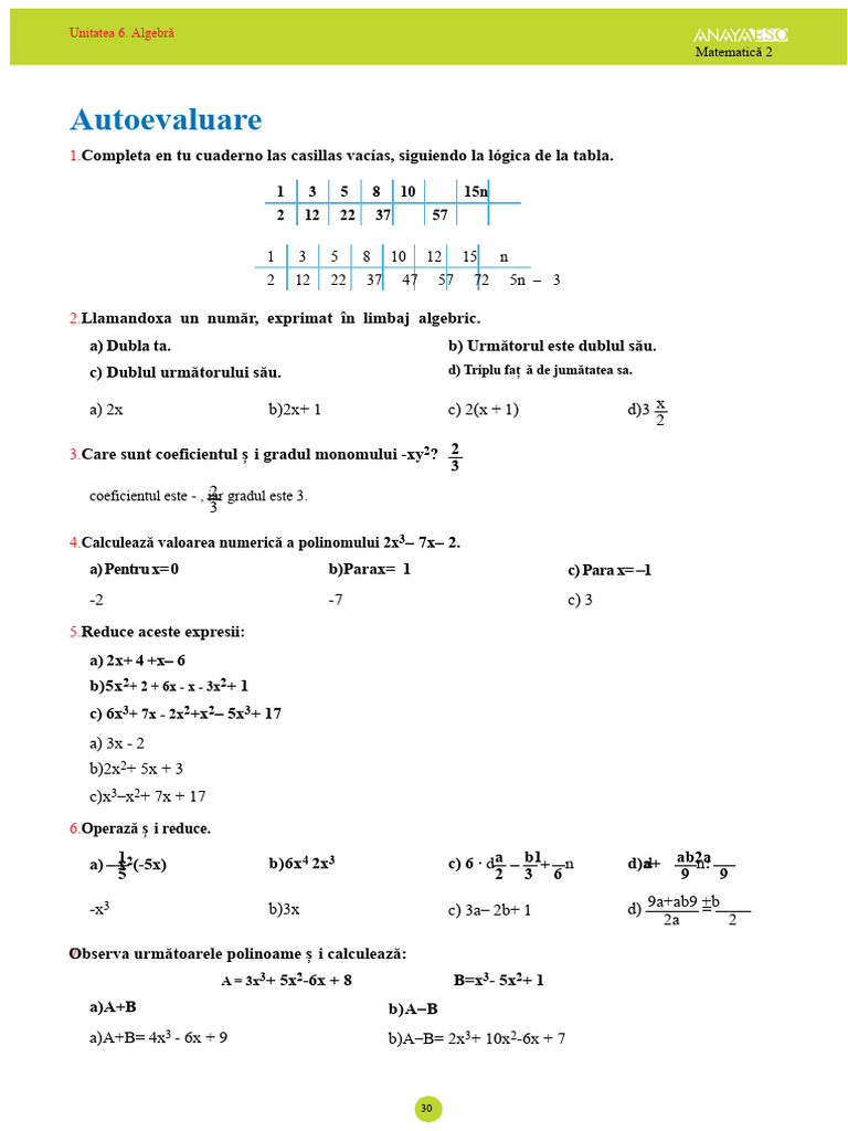 Autoevaluare Tema 6 | PDF