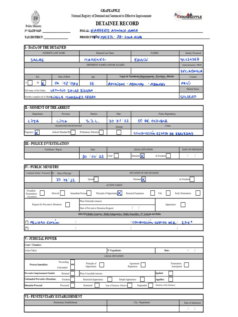 Detained Persons Record - Modifiable | PDF | Prosecutor | Common Law