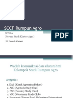 SCCF Rumpun Agro