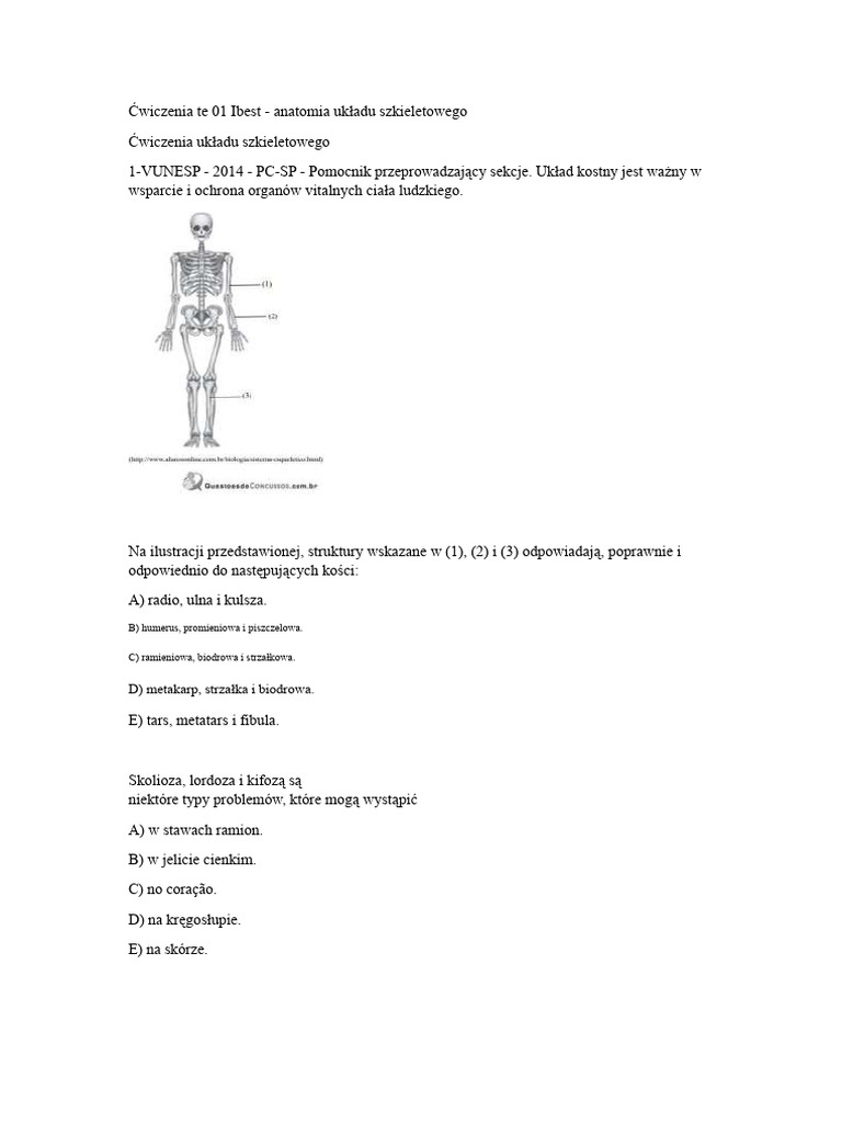 Ćwiczenia - Układ Kostny - Anatomia | PDF