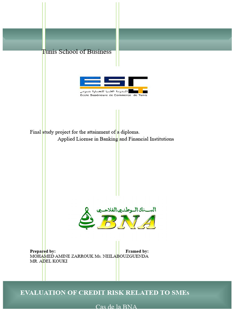 Risk Assessment of Credit Granting To SMEs | PDF | Banks | Credit Risk