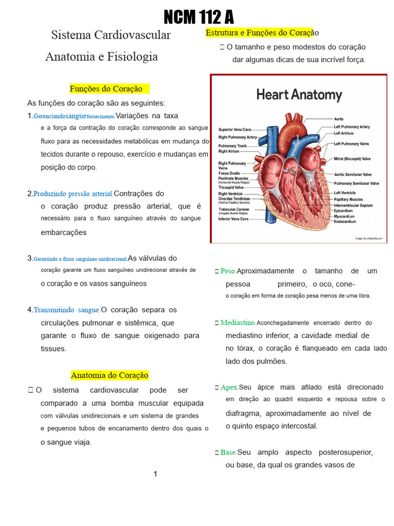 Anatomia e Fisiologia Do Sistema Cardiovascular | PDF | Coração ...