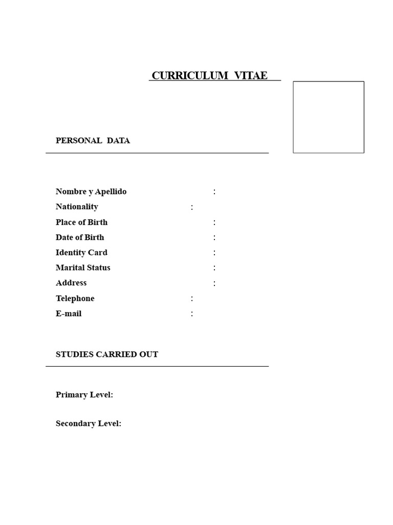 Curriculum To Fill Out | PDF