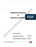 Foreign Exchange Risk Management