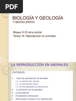 BIOLOGÍA Y GEOLOGÍA Tema 16. Reproducción en animales