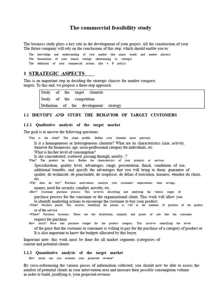 Commercial Feasibility Study Guide | PDF | Marketing | Prices