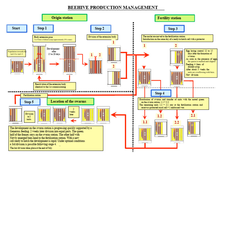 Beehive Production Management Guide | PDF | Fertilisation | Beekeeping