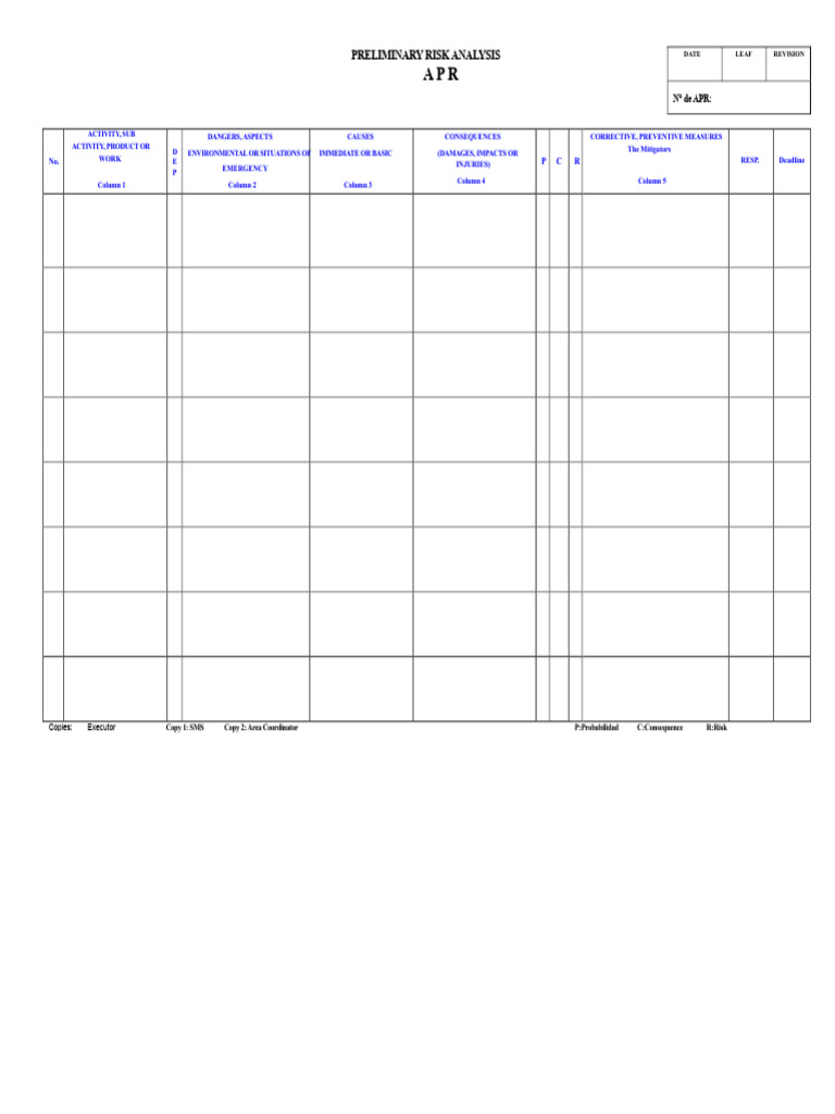 Preliminary Risk Analysis Template | PDF