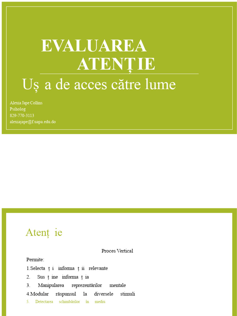 Test de Atenție d2 | PDF