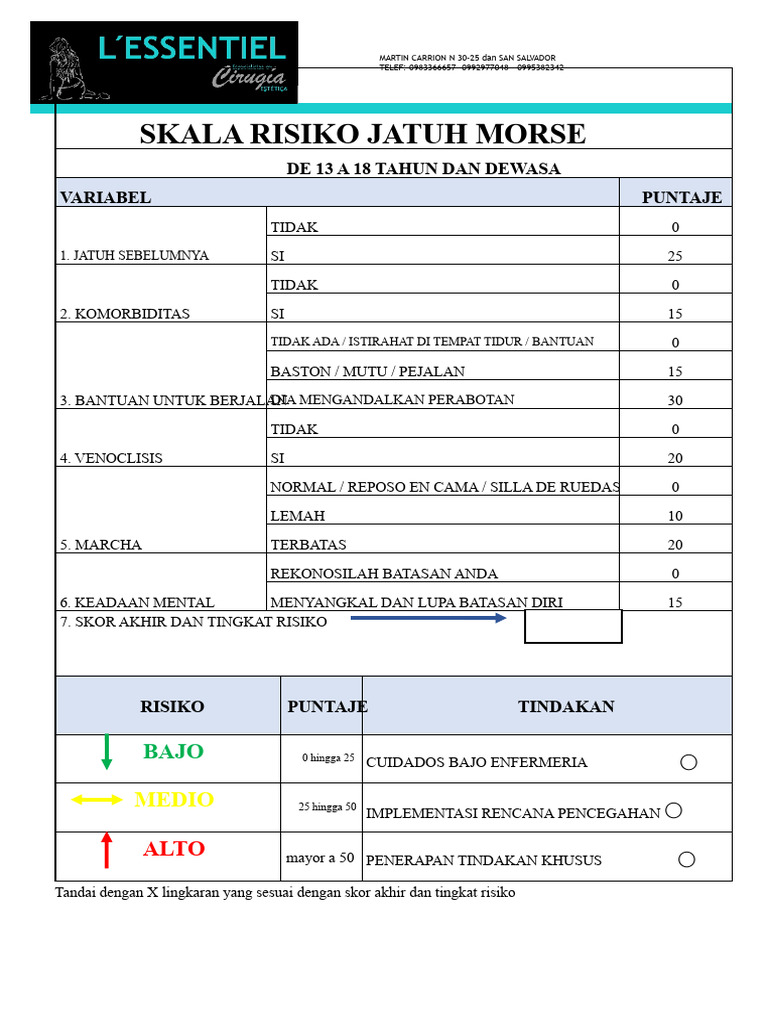 Skala Risiko Jatuh untuk Usia 13-18 dan Dewasa | PDF
