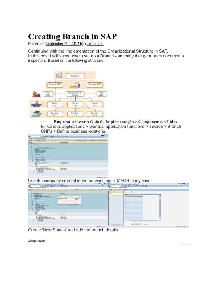 Creating A Branch in SAP | PDF