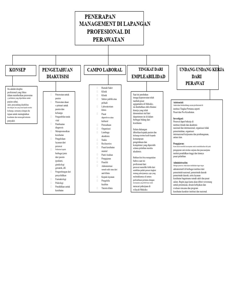 Peta Konseptual Aplikasi Manajemen Di Bidang Profesional Perawatan | PDF