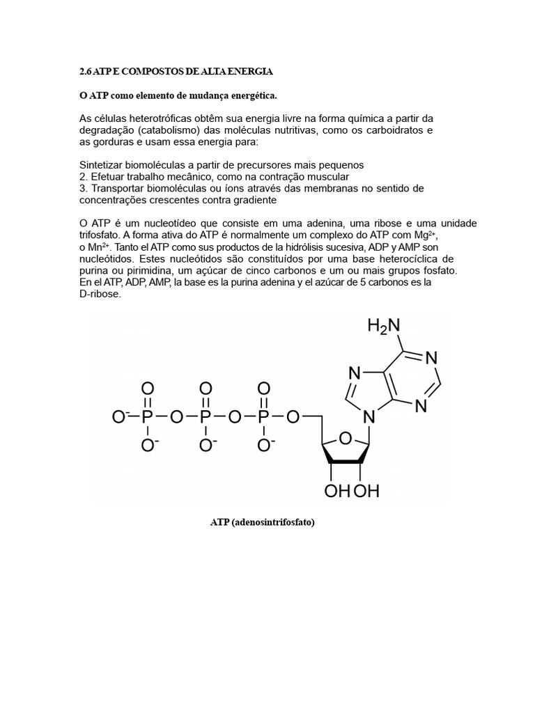 ATP: A Moeda Energética das Células | PDF | Trifosfato de adenosina ...