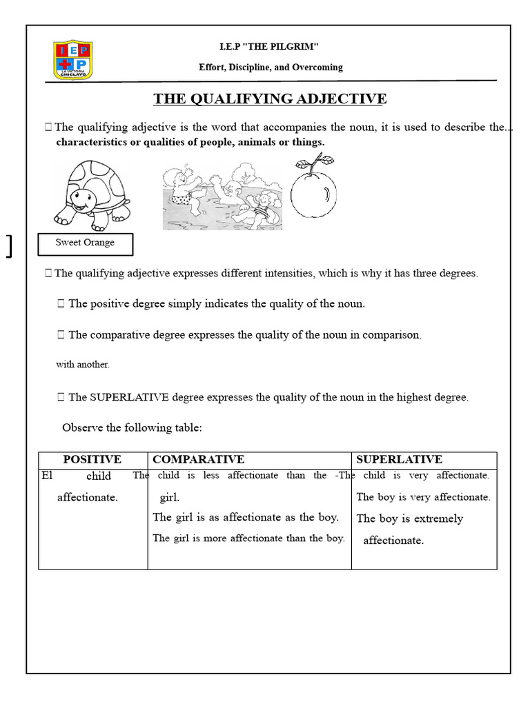 Understanding Qualifying Adjectives | PDF | Adjective | Morphology